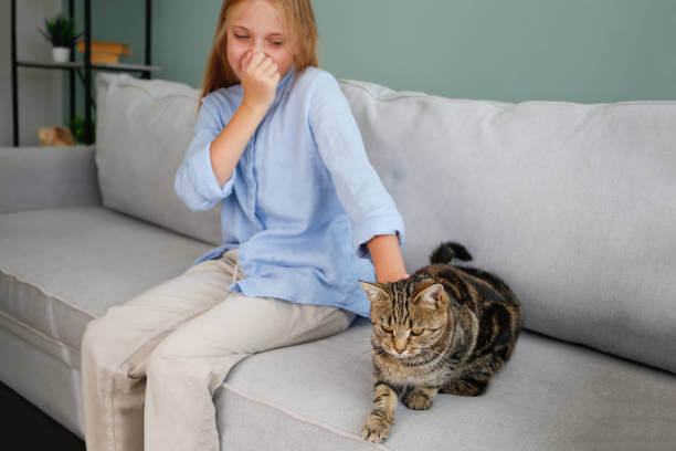 Goodbye Pet Smells with Professional Sofa Cleaning Dubai Pet Smells on sofa